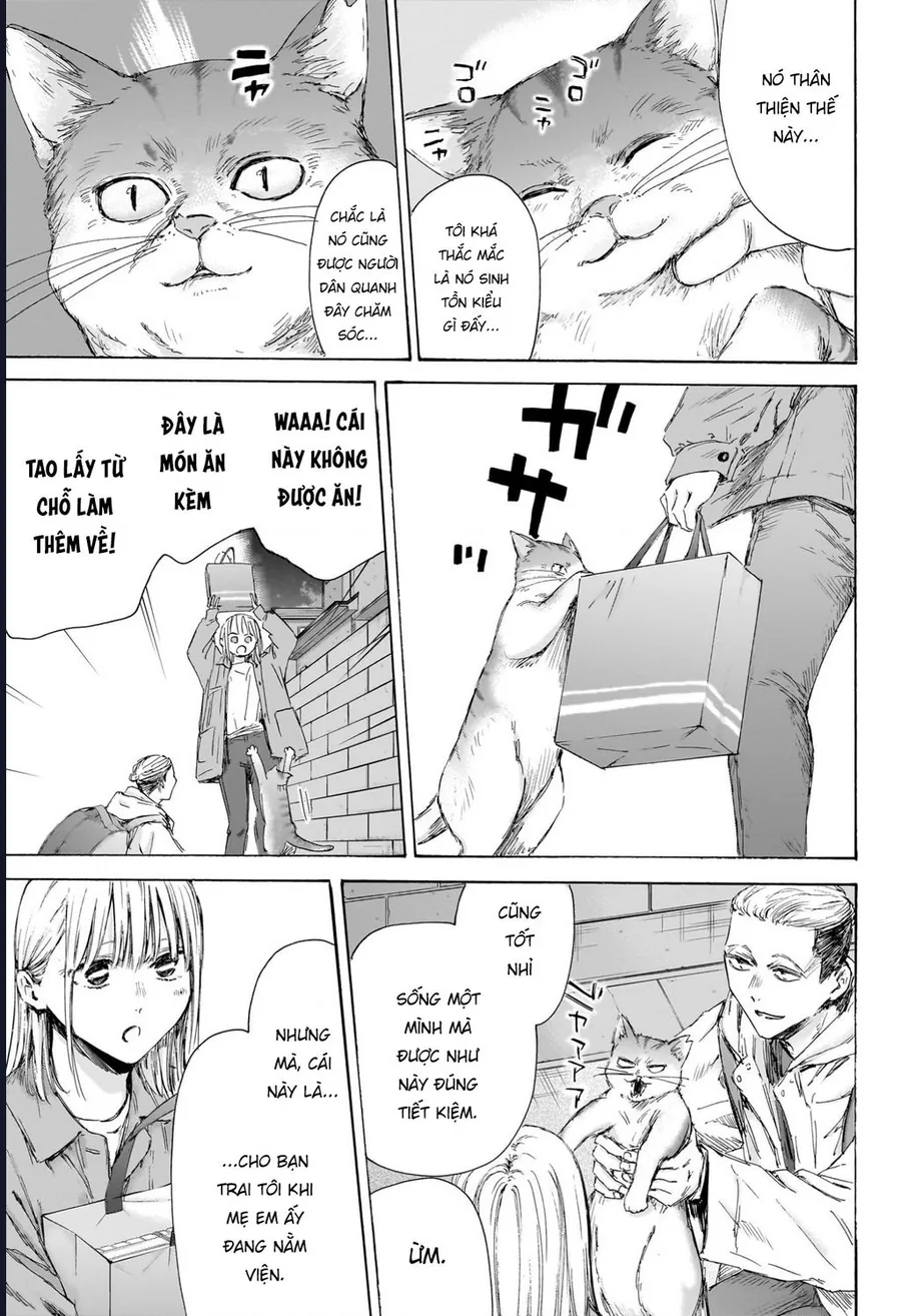 Blue Box - Chương 215 - Trang 11