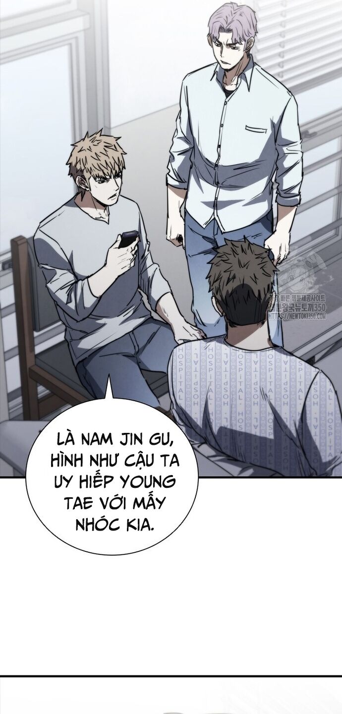 Cá Mập Wyvern