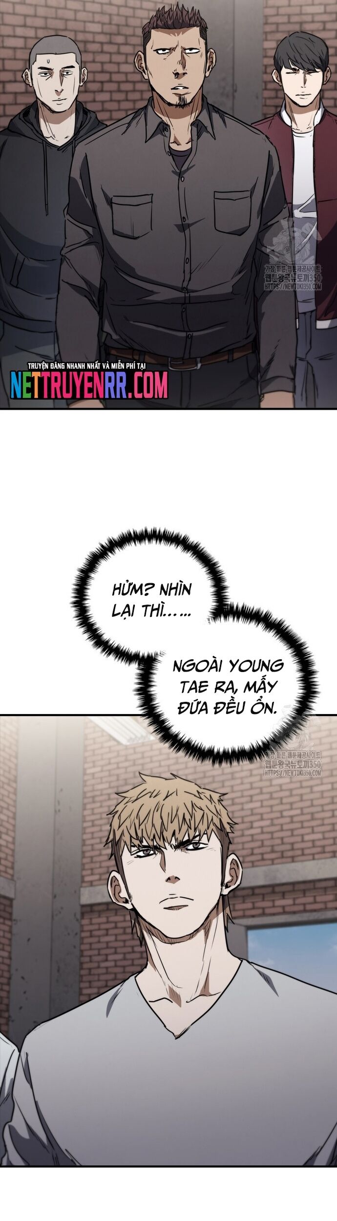 Cá Mập Wyvern
