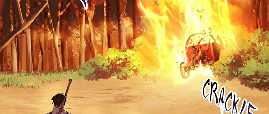 Câu Chuyện Sinh Tồn Của Kiếm Vương Ở Thế Giới Khác - Chương 78 - Trang 167