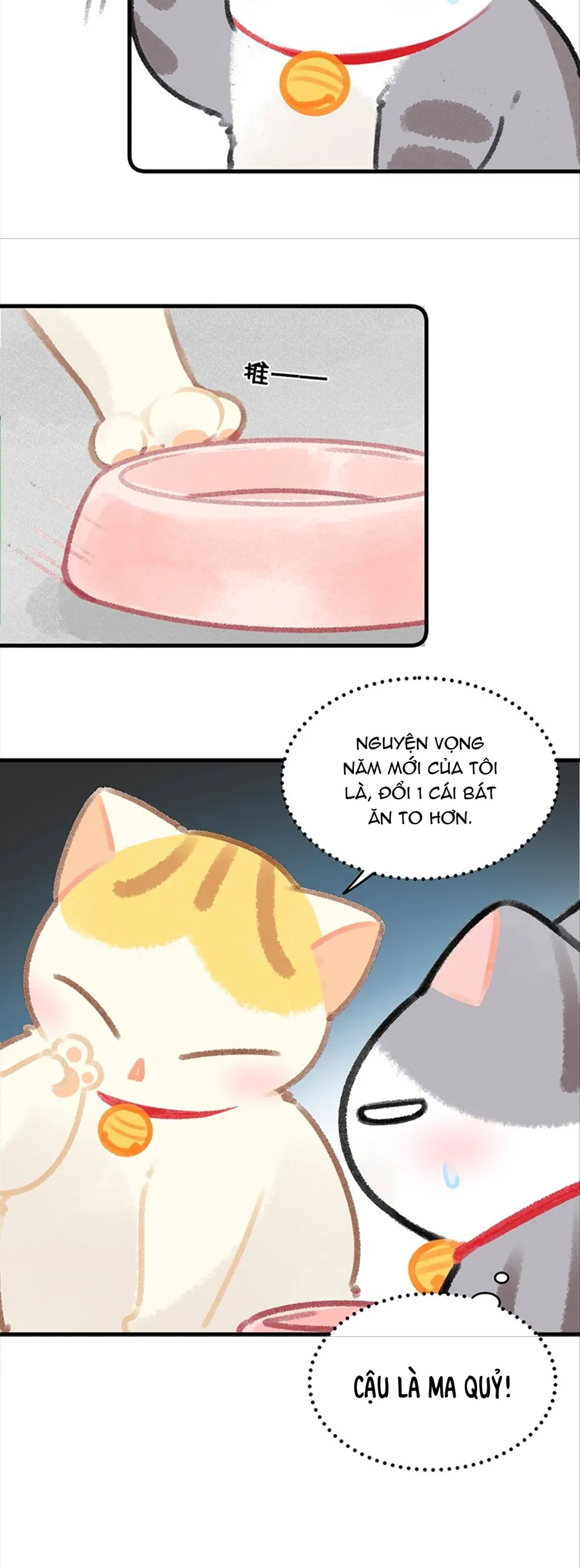 Lục Lạc Mèo - Chương 26 - Trang 15