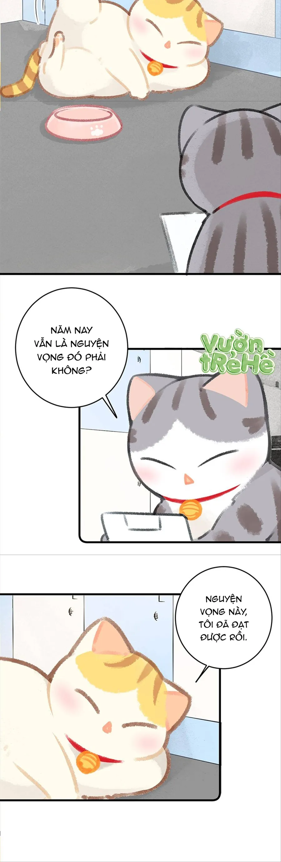 Lục Lạc Mèo - Chương 26 - Trang 10