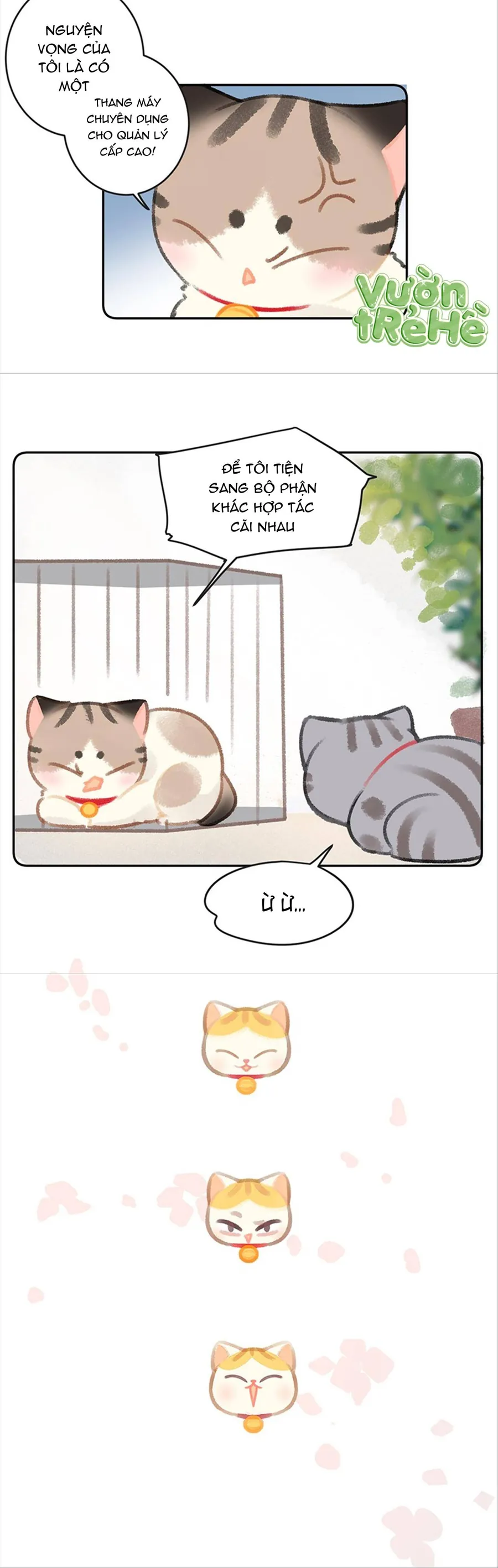 Lục Lạc Mèo - Chương 26 - Trang 7