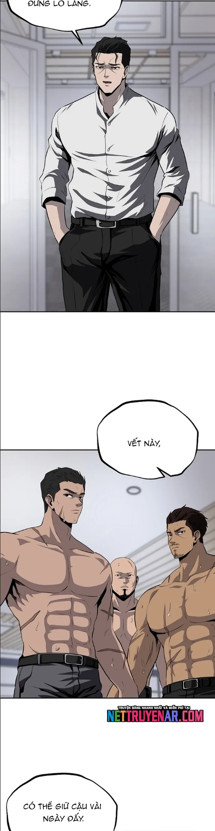 Vương Đạo - Chương 41 - Trang 5