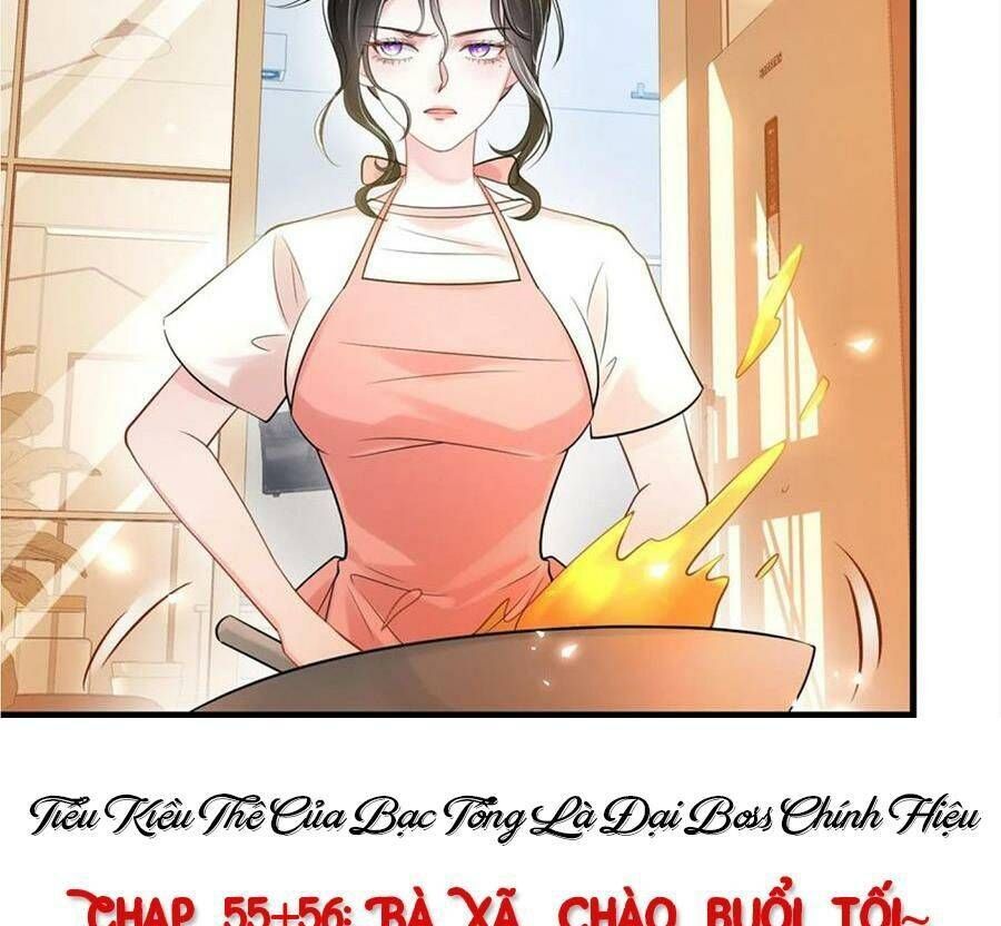 Vợ Tôi Là Boss Ngầm Đầy Quyền Lực - Chương 55 - Trang 57
