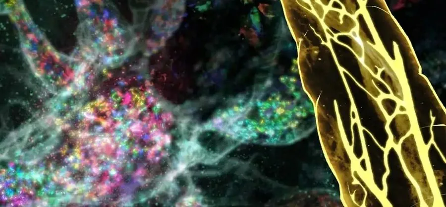 Câu Chuyện Sinh Tồn Của Kiếm Vương Ở Thế Giới Khác - Chương 118 - Trang 158