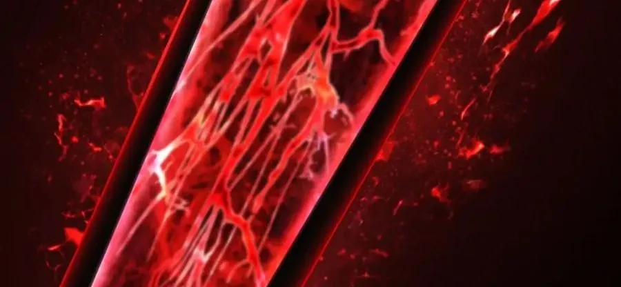 Câu Chuyện Sinh Tồn Của Kiếm Vương Ở Thế Giới Khác - Chương 118 - Trang 164