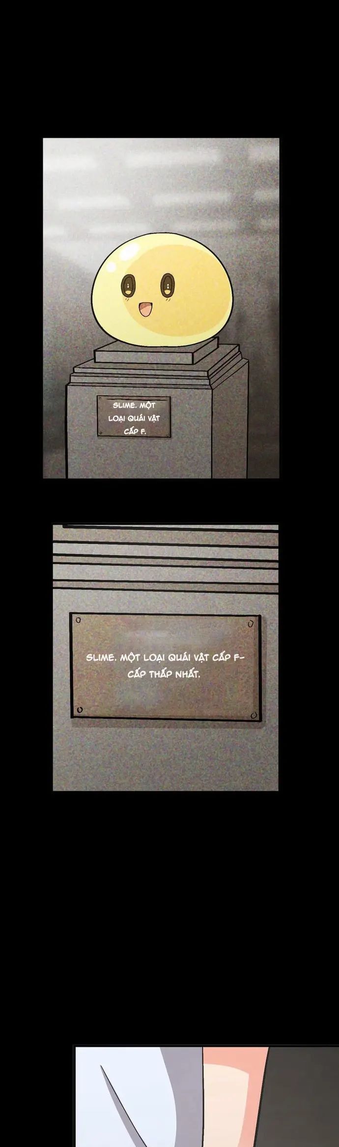 Con Slime Yếu Nhất Ta Từng Cứu Giờ Đã Trở Thành Huyền Thoại! - Chương 3 - Trang 19