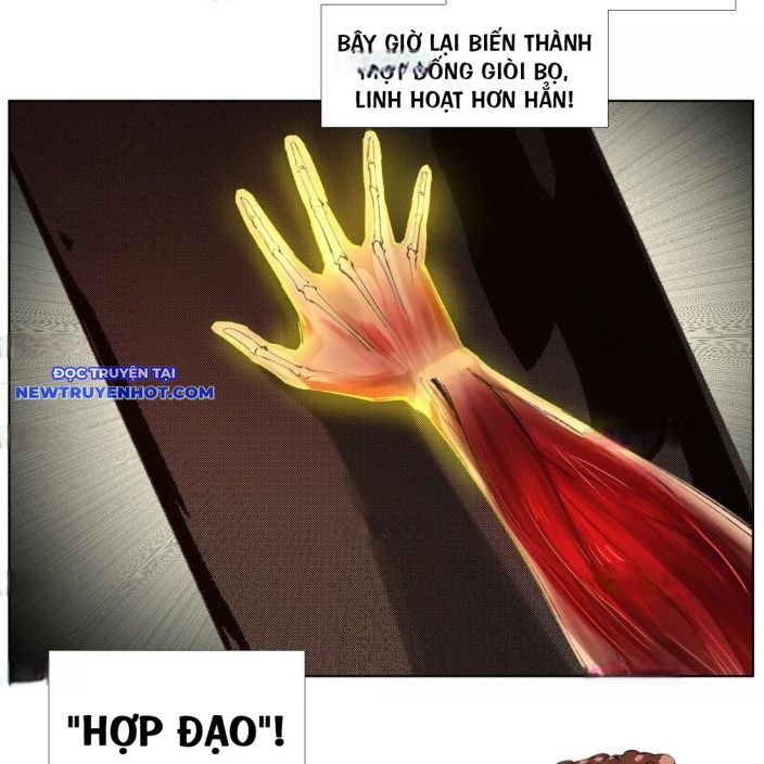Tiền Liệt Tiên