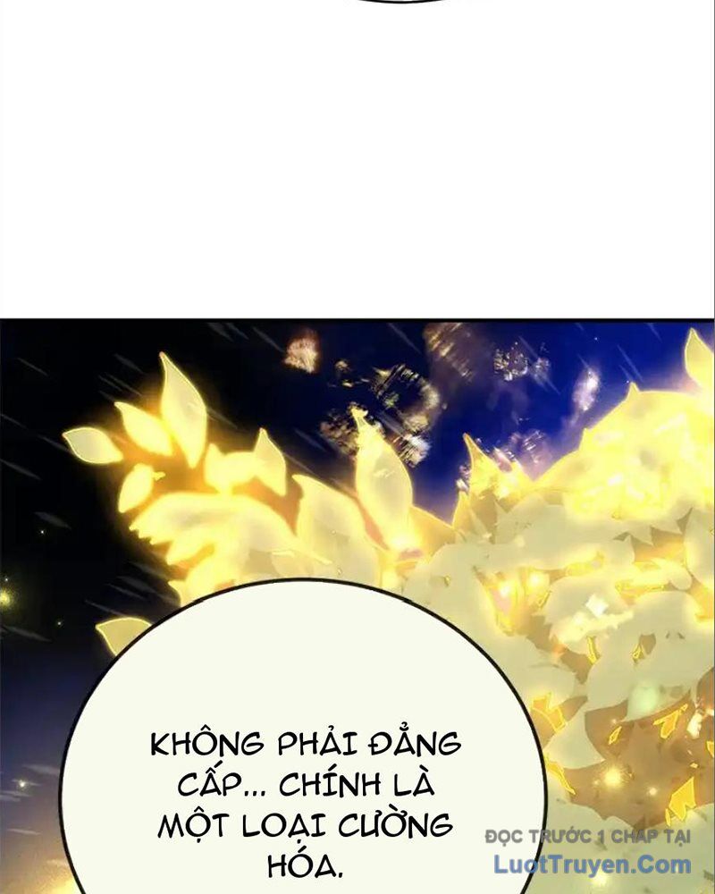 Tôi May Mắn Triệu Hồi Được Tinh Linh Hộ Vệ Hạng 10 - Chương 33 - Trang 50