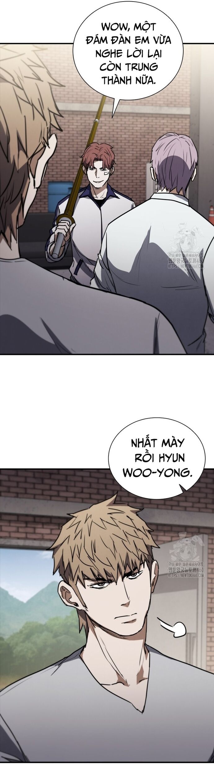 Cá Mập Wyvern
