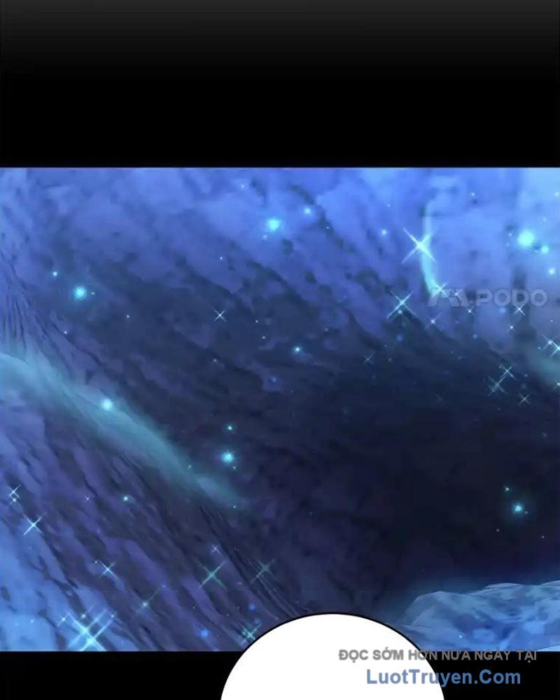 Tôi May Mắn Triệu Hồi Được Tinh Linh Hộ Vệ Hạng 10 - Chương 39 - Trang 13