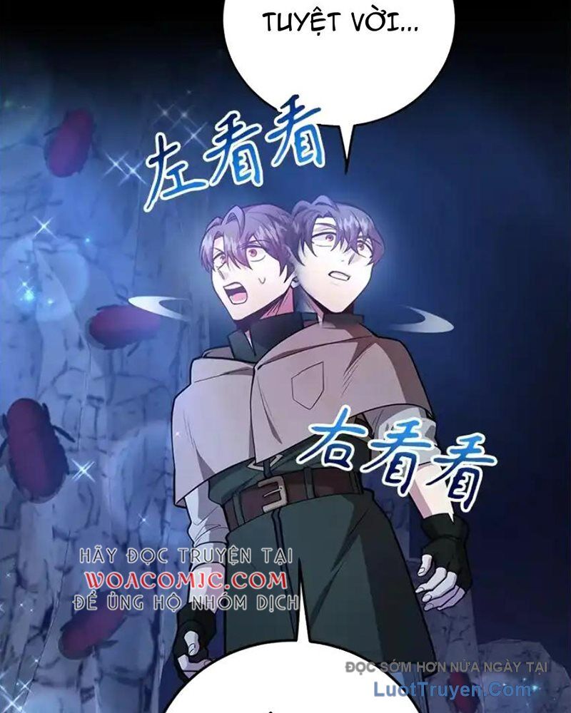 Tôi May Mắn Triệu Hồi Được Tinh Linh Hộ Vệ Hạng 10 - Chương 39 - Trang 14