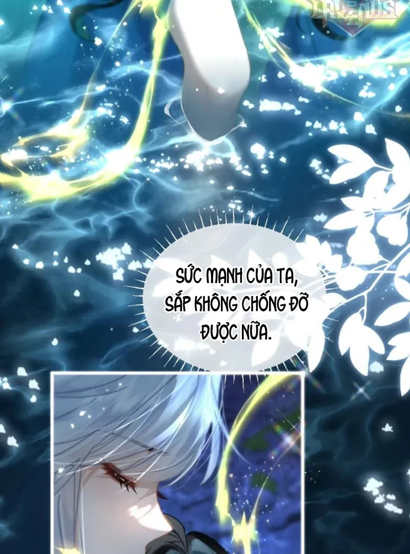 Đến Đông Hải Tìm Mỹ Nhân - Chương 67 - Trang 51