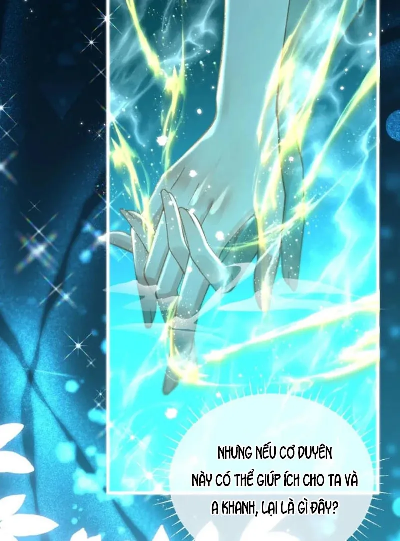 Đến Đông Hải Tìm Mỹ Nhân - Chương 67 - Trang 53