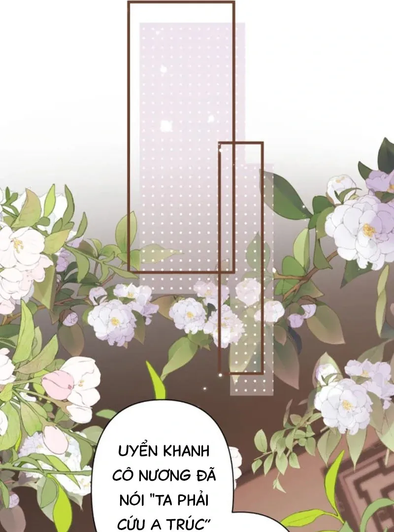 Đến Đông Hải Tìm Mỹ Nhân - Chương 67 - Trang 26