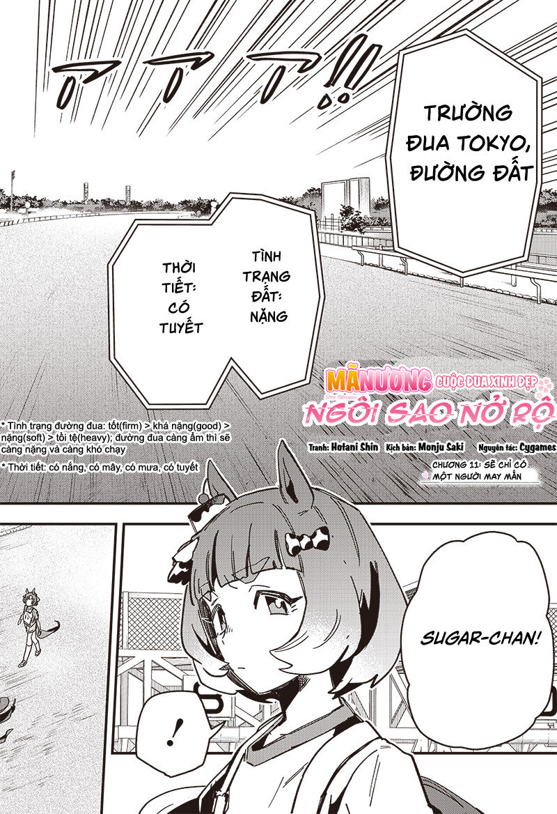 Uma Musume Pretty Derby: Star Blossom - Chương 11 - Trang 4
