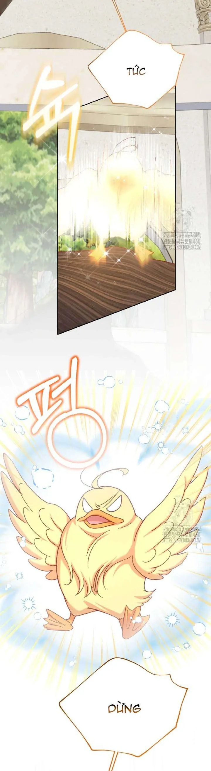 Nàng Vịt Chờ Ngày Hủy Hôn - Chương 23 - Trang 23