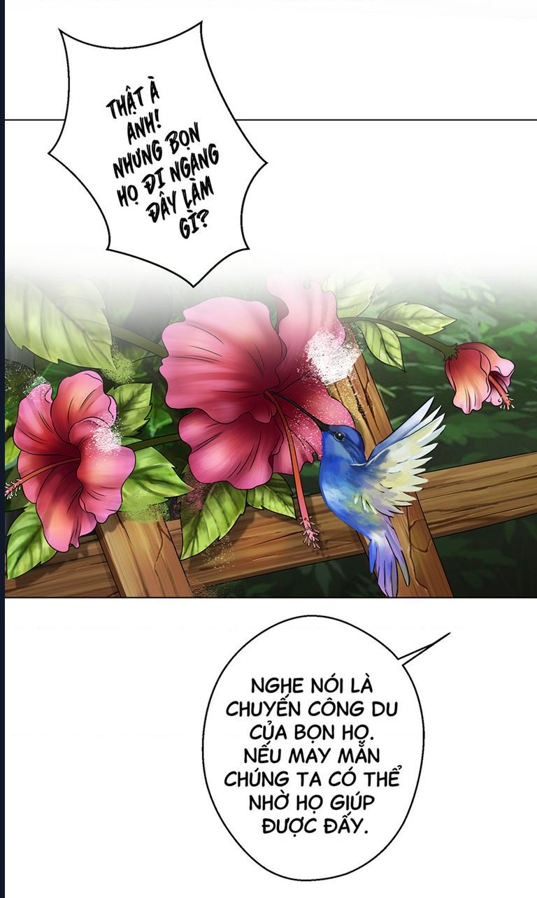 Kinhcomic Phù Thủy Kiến Tạo | Sự Trỗi Dậy Của Loài Pan - Chương 1 - Trang 24
