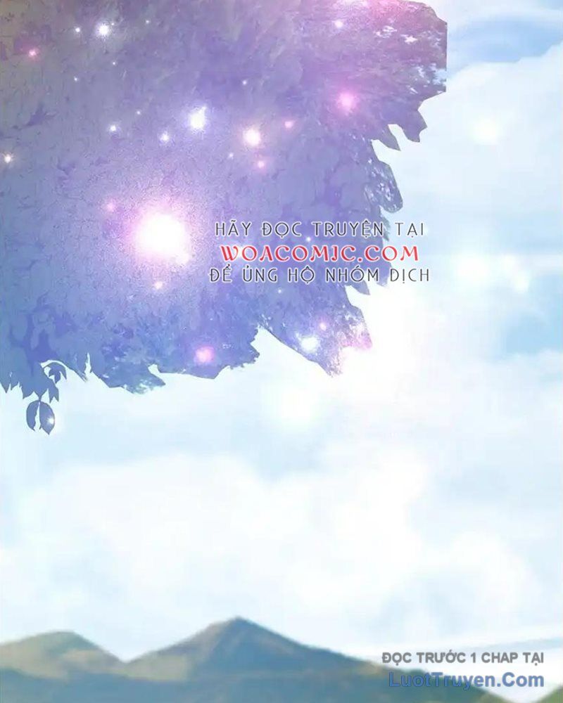 Tôi May Mắn Triệu Hồi Được Tinh Linh Hộ Vệ Hạng 10 - Chương 37 - Trang 122