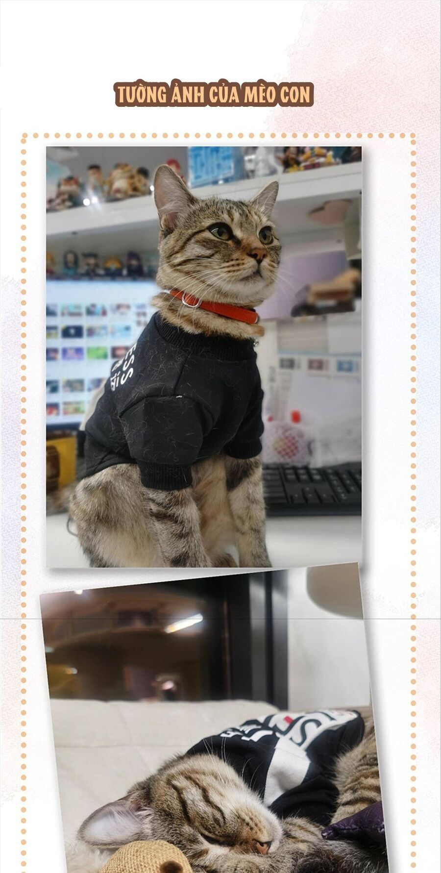 Lục Lạc Mèo - Chương 15 - Trang 11