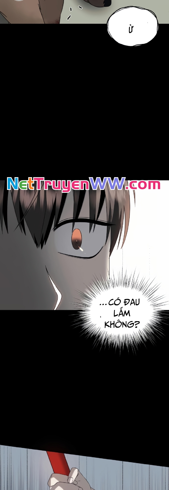 Tử Đấu