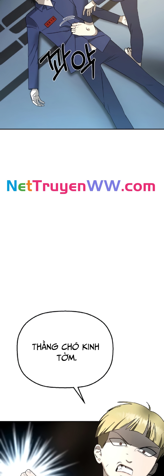 Tử Đấu