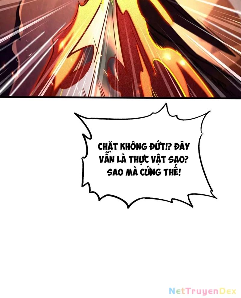Siêu Cấp Thần Cơ Nhân - Chương 318 - Trang 12