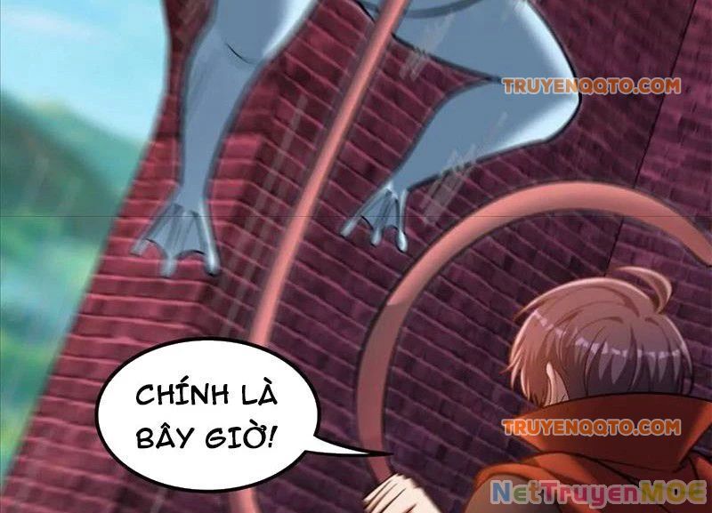 Huyễn Thú Của Ta Có Thể Tiến Hoá Vô Hạn