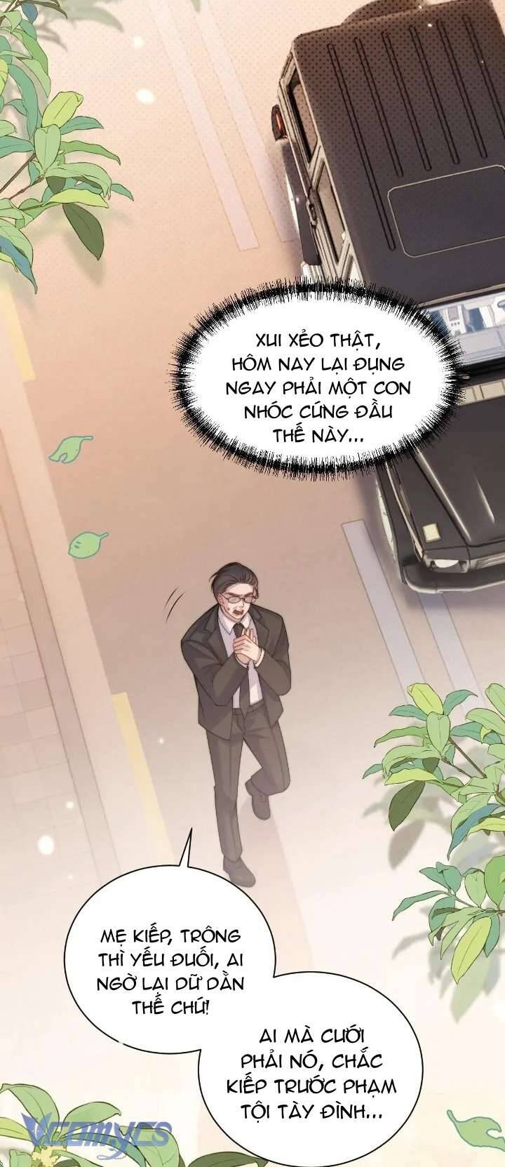 Tái Sinh Trong Vòng Tay Anh