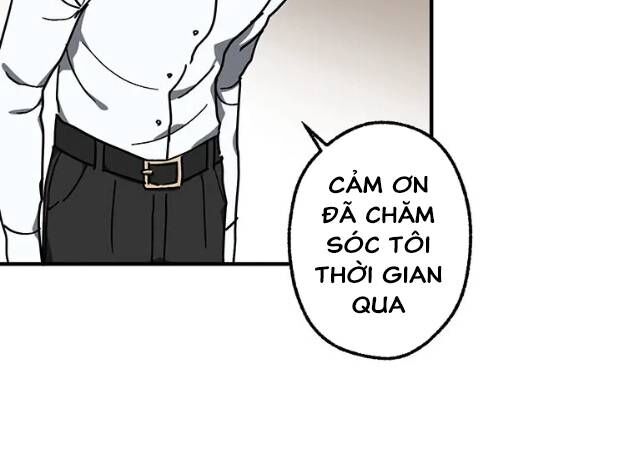 Quý Tộc Báo Thù Chapter 13 - Trang 2