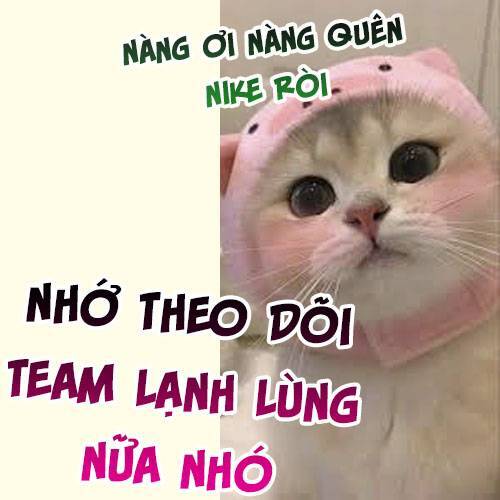 Phu Nhân , Thân Phận Thật Của Người Sắp Lộ Rồi