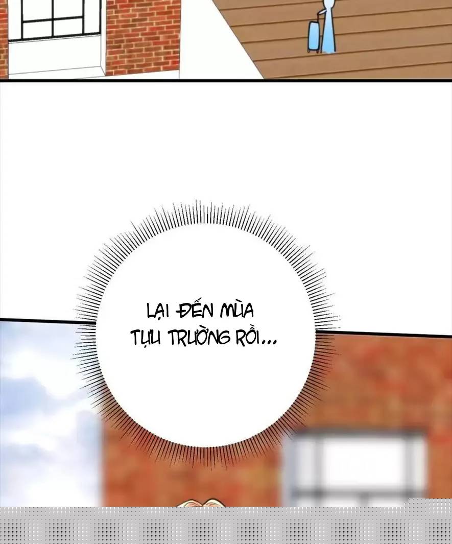 Ta Có 90 Tỷ Tiền Liếm Cẩu!