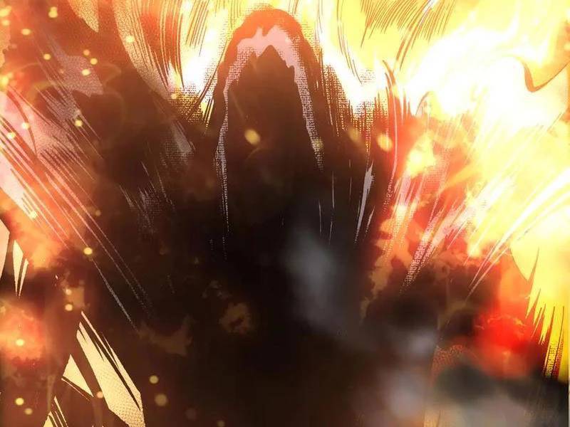 Thảm Họa Tử Linh Sư Chapter 109 - Trang 2