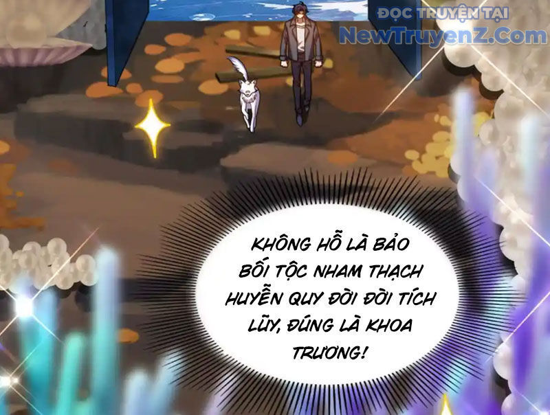 Huyễn Thú Của Ta Có Thể Tiến Hoá Vô Hạn