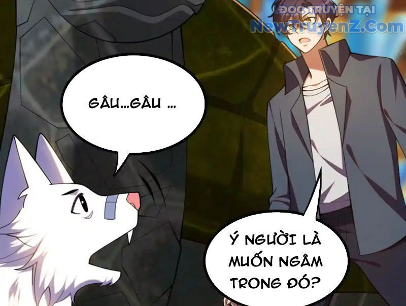 Huyễn Thú Của Ta Có Thể Tiến Hoá Vô Hạn