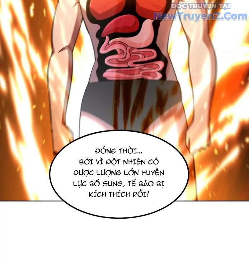 Huyễn Thú Của Ta Có Thể Tiến Hoá Vô Hạn
