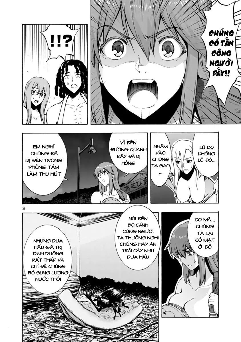 Siêu Đảo Côn Trùng - Chương 2.5 - Trang 2