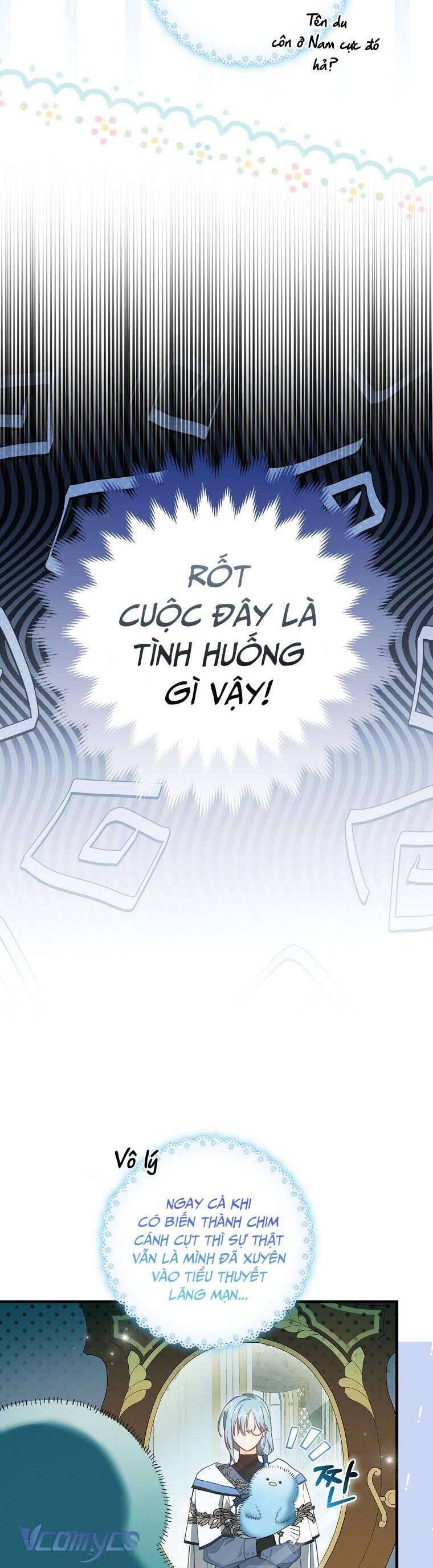 Nàng Chim Cánh Cụt Yêu Thích Của Chàng Cá Voi Sát Thủ Điên Rồ