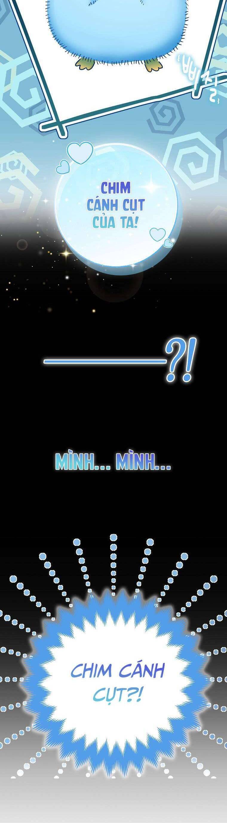 Nàng Chim Cánh Cụt Yêu Thích Của Chàng Cá Voi Sát Thủ Điên Rồ