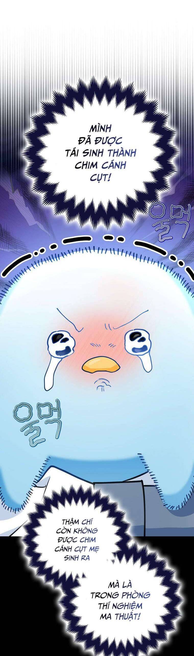 Nàng Chim Cánh Cụt Yêu Thích Của Chàng Cá Voi Sát Thủ Điên Rồ