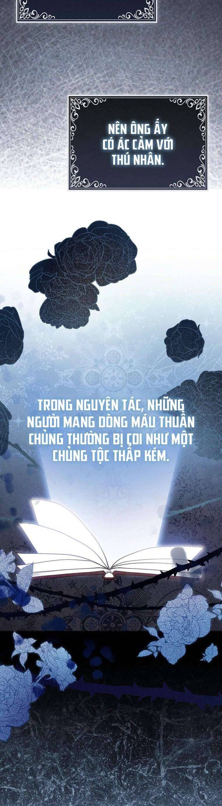 Nàng Chim Cánh Cụt Yêu Thích Của Chàng Cá Voi Sát Thủ Điên Rồ