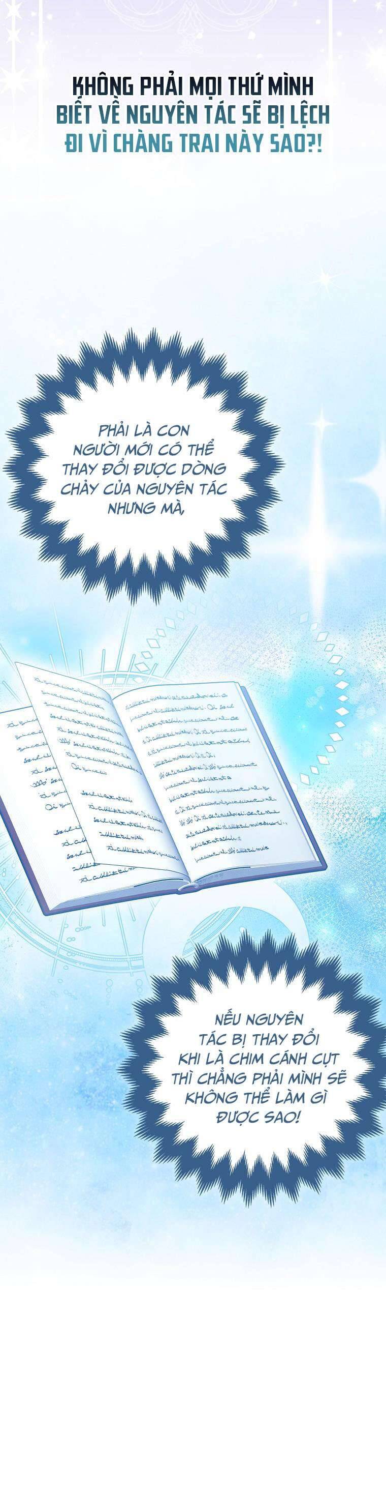 Nàng Chim Cánh Cụt Yêu Thích Của Chàng Cá Voi Sát Thủ Điên Rồ