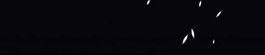 Thương Nhân Thánh Thần