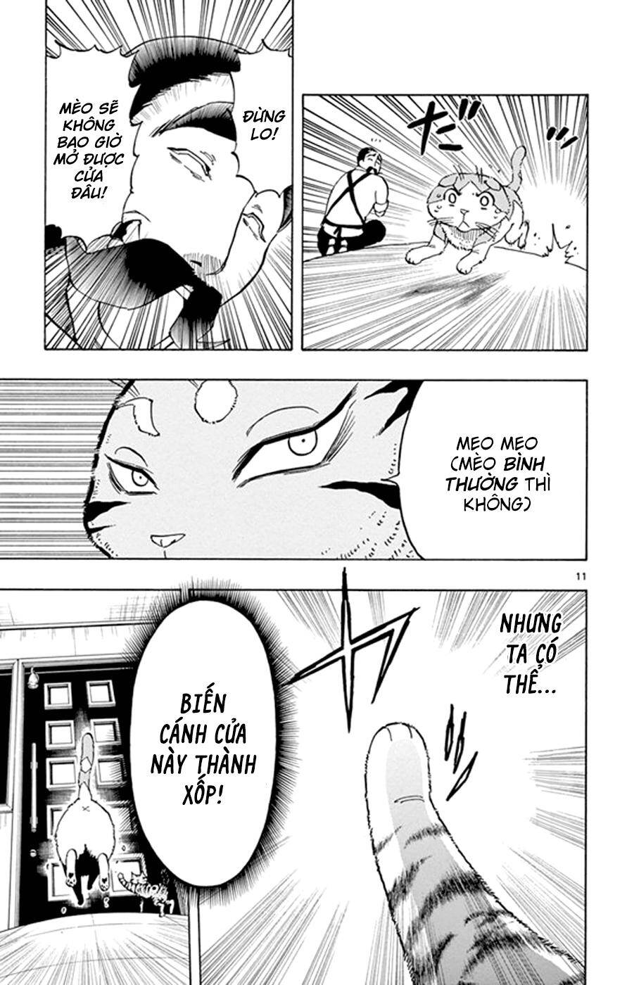 Saike Mata Shite Mo Chapter 18: Vương quốc mèo 3 - Trang 2