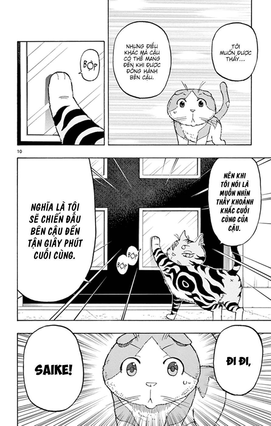 Saike Mata Shite Mo Chapter 18: Vương quốc mèo 3 - Trang 2