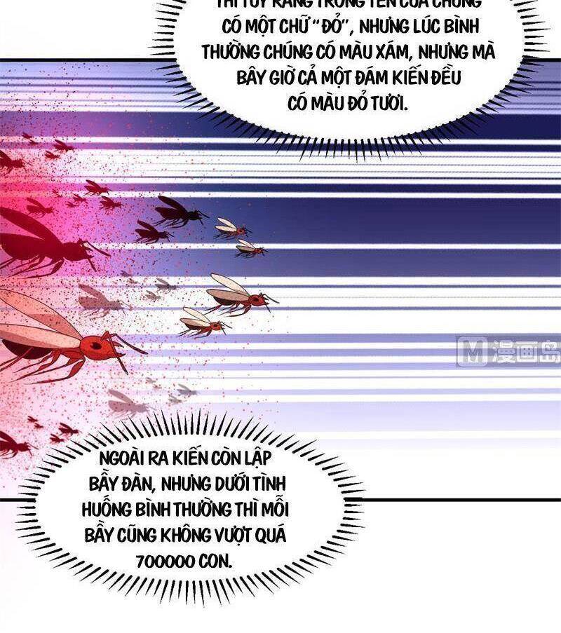 Tôi Sống Trên Hoang Đảo Cùng Các Em Gái - Chương 166 - Trang 15