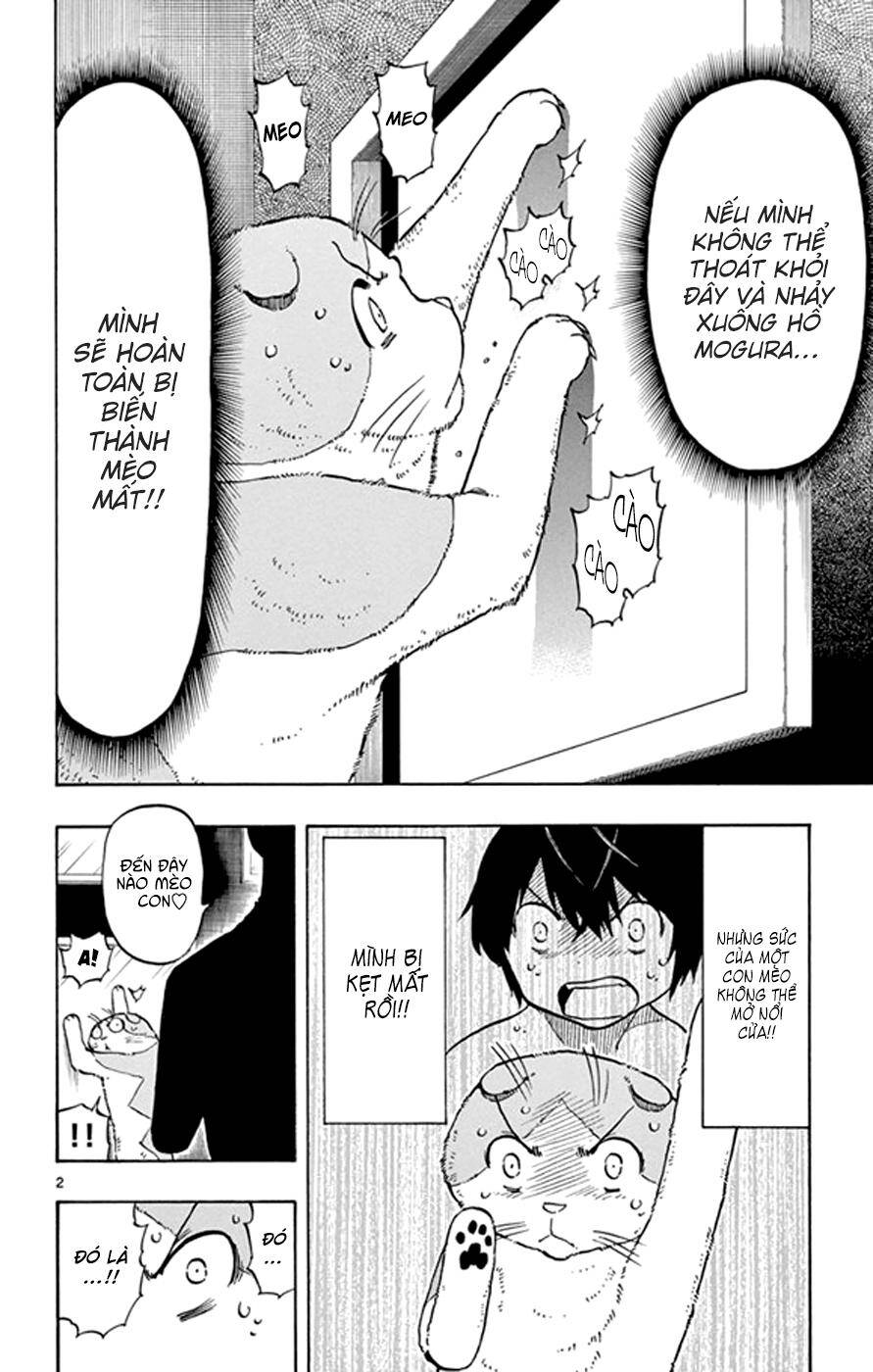 Saike Mata Shite Mo Chapter 18: Vương quốc mèo 3 - Trang 2
