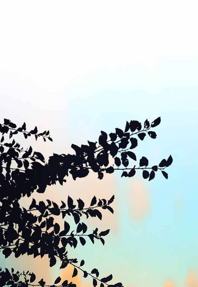 Người Đàn Ông Thực Thụ