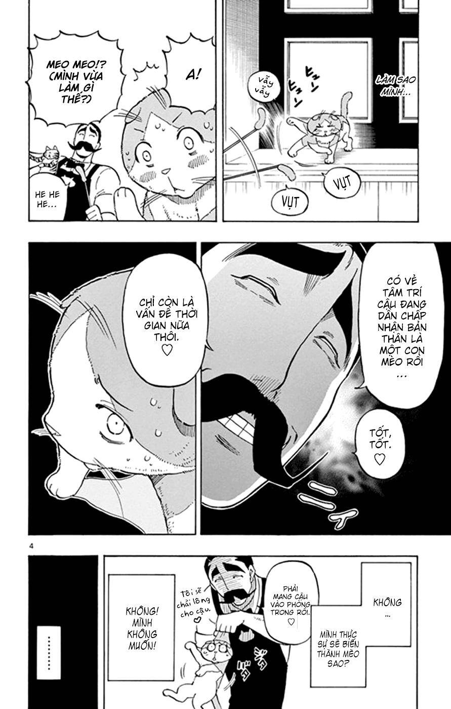Saike Mata Shite Mo Chapter 18: Vương quốc mèo 3 - Trang 2